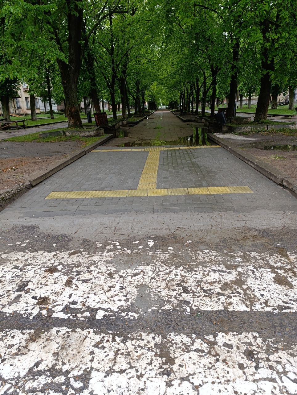 Фото до матеріалу: У Шептицькому відкрили безбар'єрний маршрут: нові пандуси на вулиці Грушевського