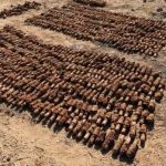 Фото до матеріалу: Декларація голови Кутської громади: доходи дружини, нерухомість у Донецьку та «зимова» тисяча