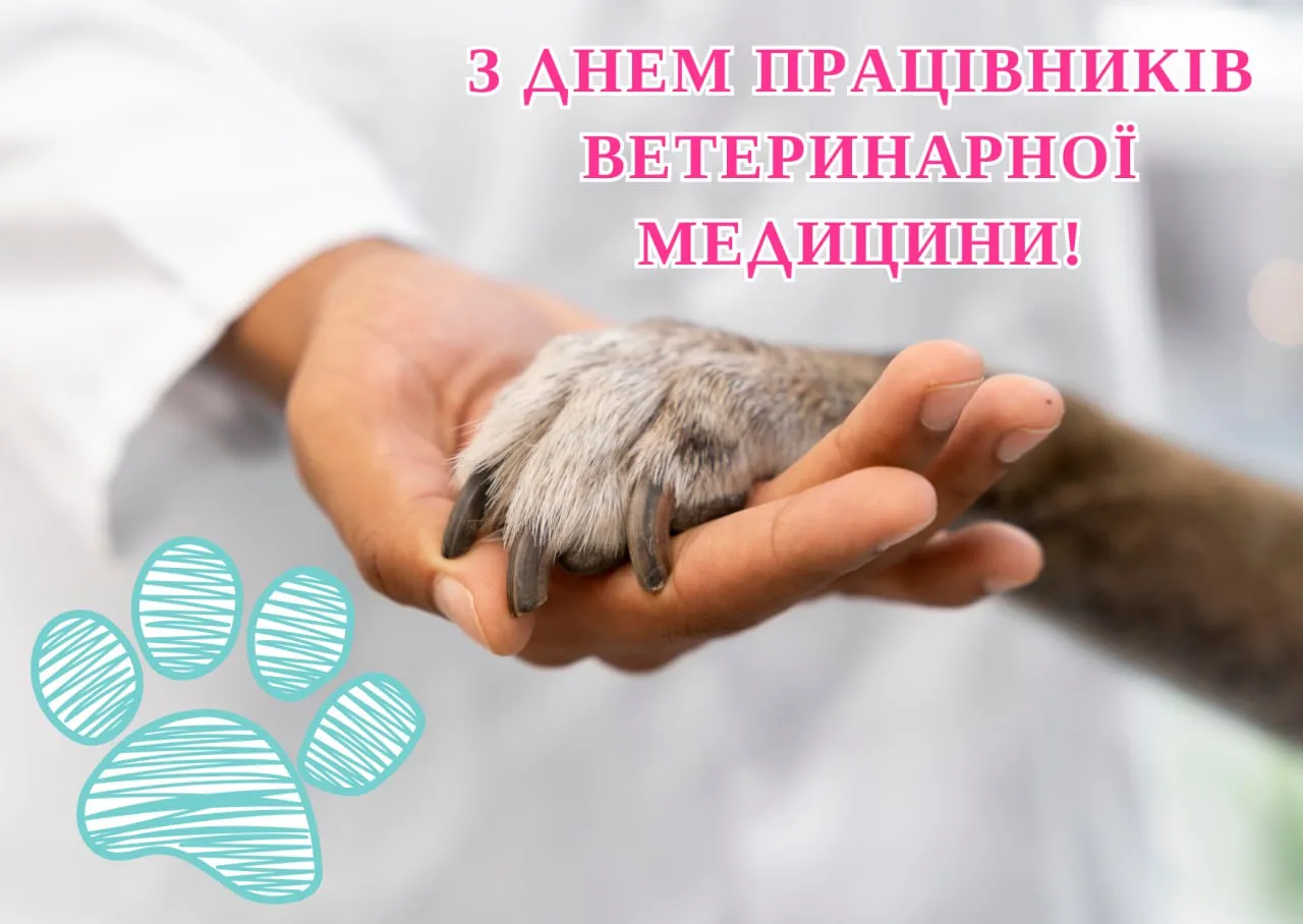Фото до матеріалу: Вшанування тих, хто рятує життя тварин: привітання з Днем ветеринара 2026