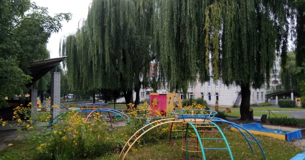 Фото до матеріалу: Спалах сальмонельозу у дитсадку Львова: встановлено причину