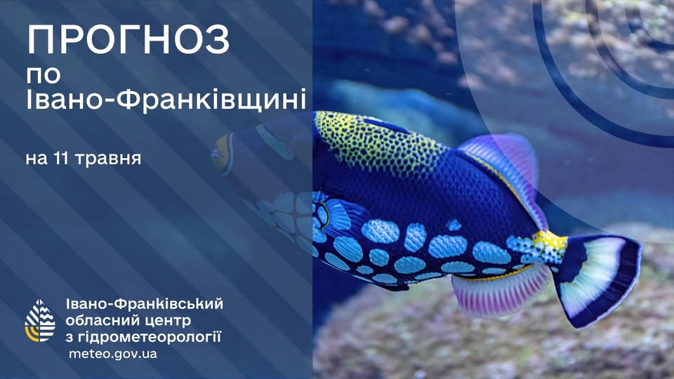 Фото до матеріалу: Від заморозків до грози: як зміниться погода на Прикарпатті 11 травня