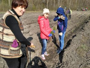 Фото до матеріалу: Учні Світязької школи разом із лісниками висадили нові саджанці сосен і берізок