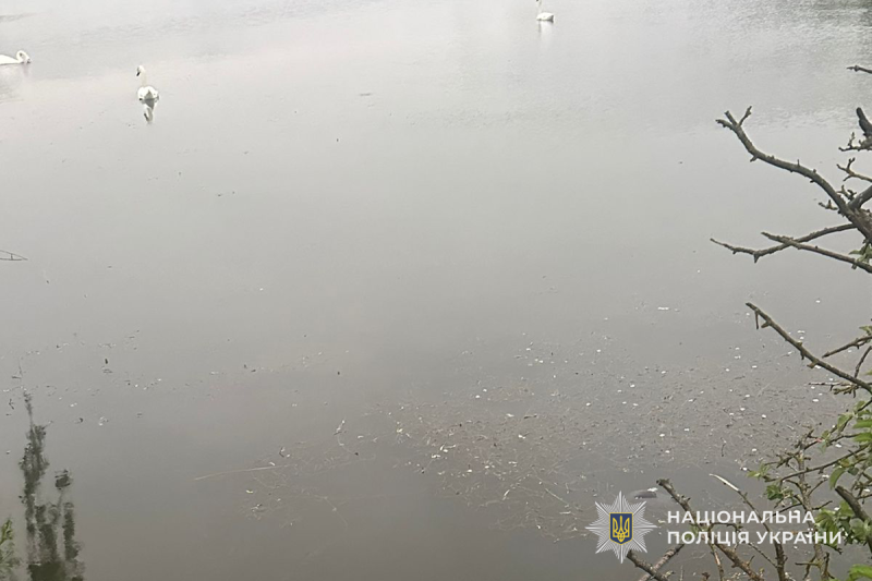 Фото до матеріалу: На Тернопільщині у ставці виявили тіло чоловіка