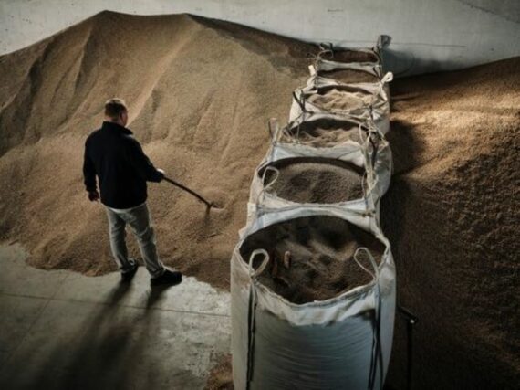 Фото до матеріалу: Агроекспорт України зріс до $6,3 млрд: перероблена продукція встановила новий тренд