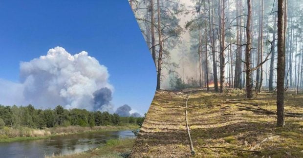 Фото до матеріалу: Масштабна пожежа біля Чорнобиля: зона відчуження спалахнула через БпЛА