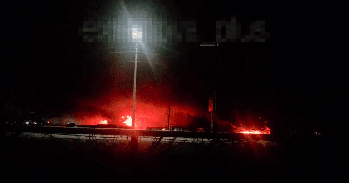 Фото до матеріалу: Як приготувати корисний вівсяний хліб у Володимирі: простий рецепт