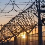 Фото до матеріалу: Meest Cargo: міжнародна логістика для бізнесу без складних кордонів