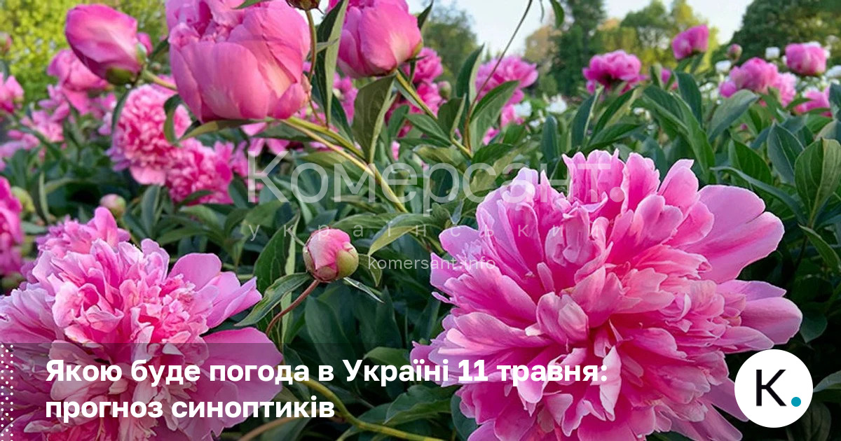 Фото до матеріалу: Погода в Україні 11 травня: дощі на сході, тепла на заході
