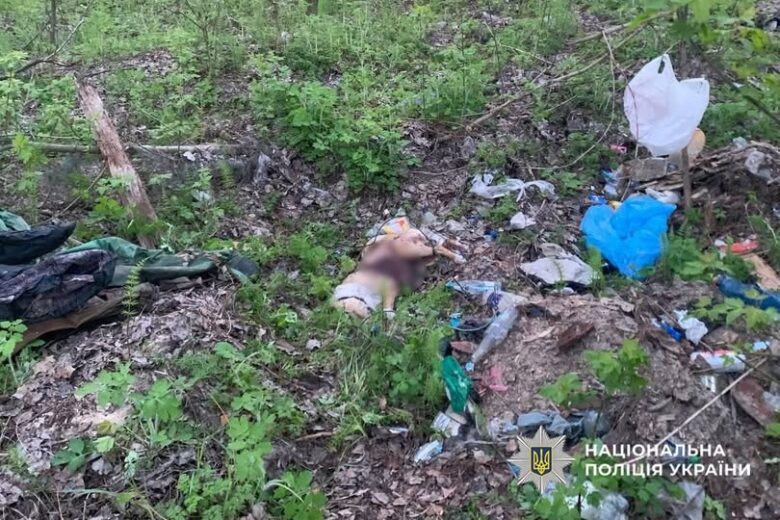 Фото до матеріалу: У Худяках чоловіка судитимуть за розстріл собаки