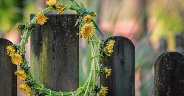Фото до матеріалу: Погода в Києві: коли очікується потепління після хвилю дощів