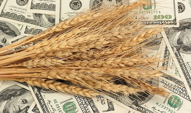 Фото до матеріалу: Прогнозний EBITDA агровиробництва України у 2025 році сягне 410 доларів на гектар