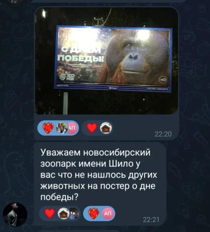 Фото до матеріалу: Переплутали предків: росіяни в шоці через “мавпяче” привітання з 9 травня