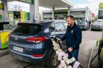 Фото до матеріалу: Курс валют в Україні: долар і євро знизився, банки та обмінники фіксують зміни