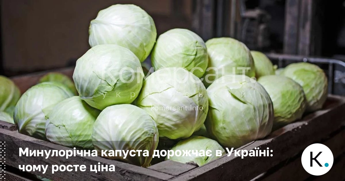 Фото до матеріалу: Ціни на минулорічну капусту в Україні різко зросли: чому овоч дорожчає