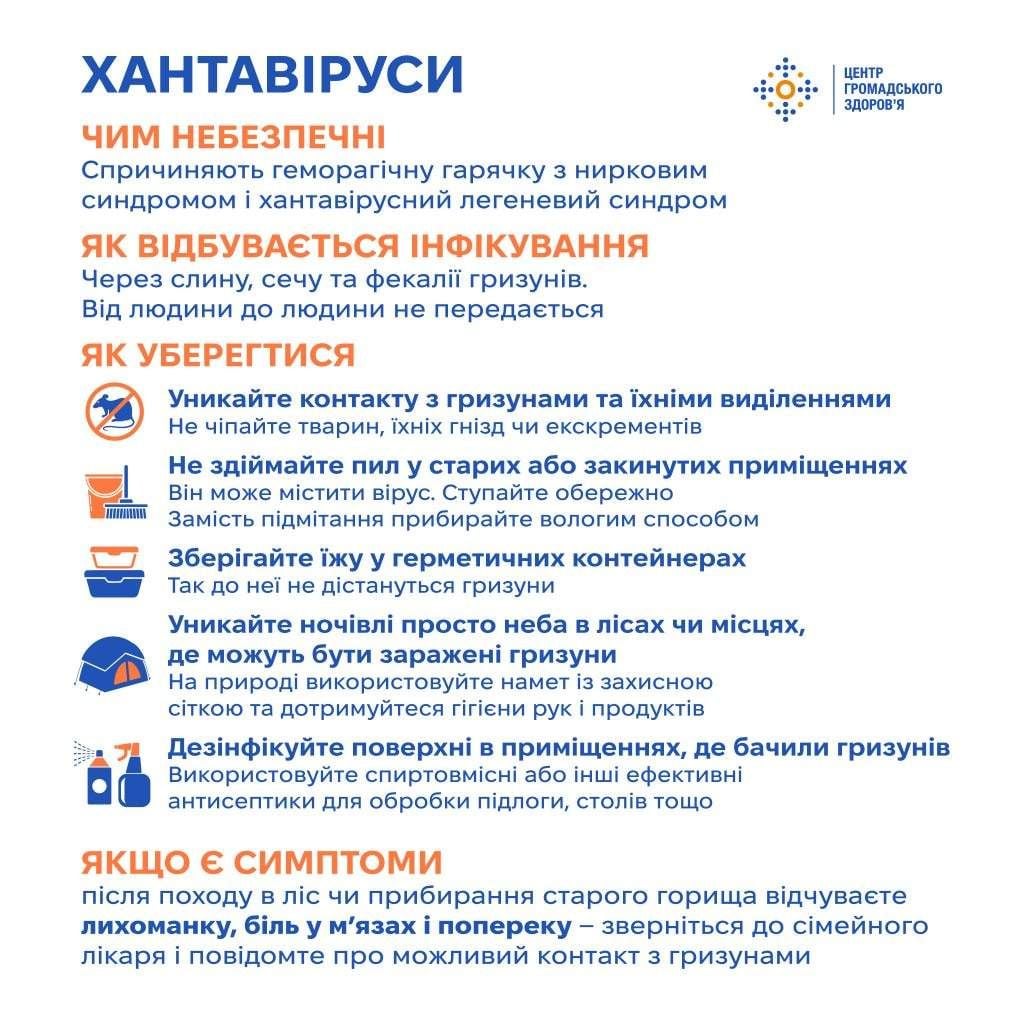 Фото до матеріалу: Спалах хантавірусу на круїзному лайнері: чи загрожує це Україні
