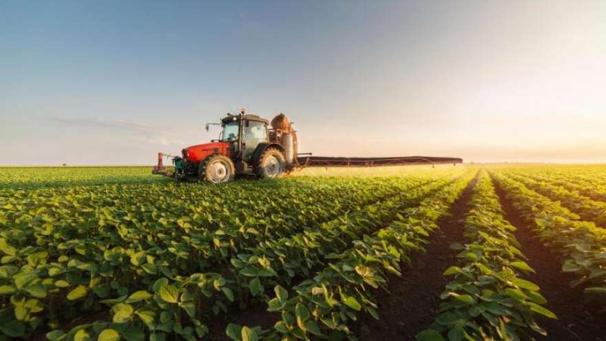 Фото до матеріалу: Аграрії України очікують на покращення: Держстат зафіксував позитивну динаміку