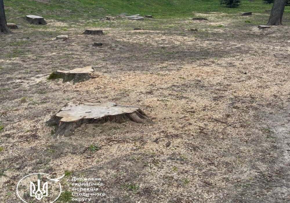 Фото до матеріалу: На Київщині викрили схему незаконного продажу «невидимої» землі на 9 млн грн