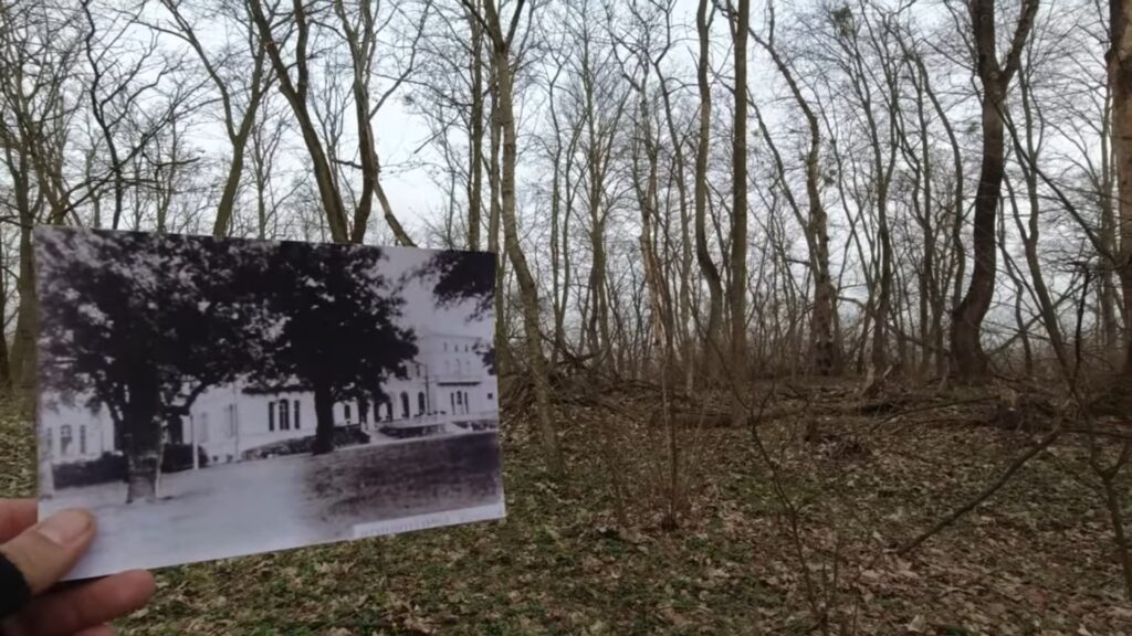 Фото до матеріалу: Мошногірський парк: як зник найвеличніший парк Європи на Черкащині