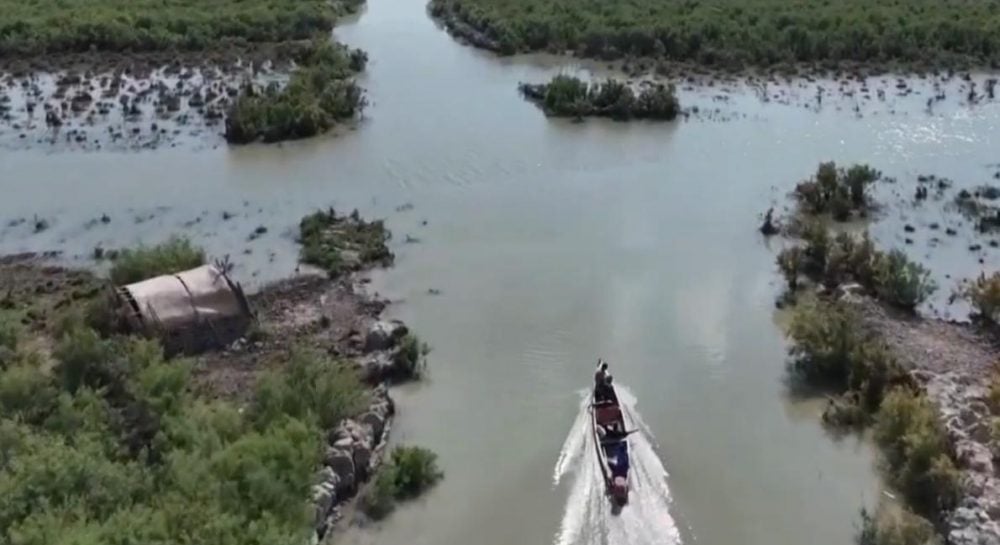 Фото до матеріалу: У Іраку повернулися води: відновлюються болота Едему