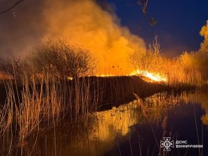 Фото до матеріалу: На Вінниччині ліквідували 19 пожеж: вогонь знищив понад 3 гектари сухої рослинності