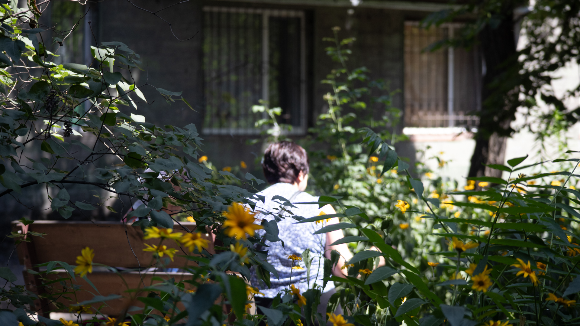 Фото до матеріалу: Як змінюються дворики Кам'янського: огляд нових просторів для мешканців