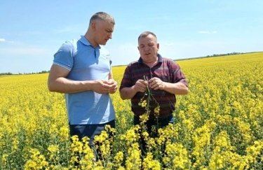 Фото до матеріалу: Рівненський фермерський бізнес почав експортувати соєву олію завдяки державній підтримці