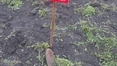 Фото до матеріалу: У центрі Львова викрили бордель: сестри з Житомирщини експлуатували неповнолітню