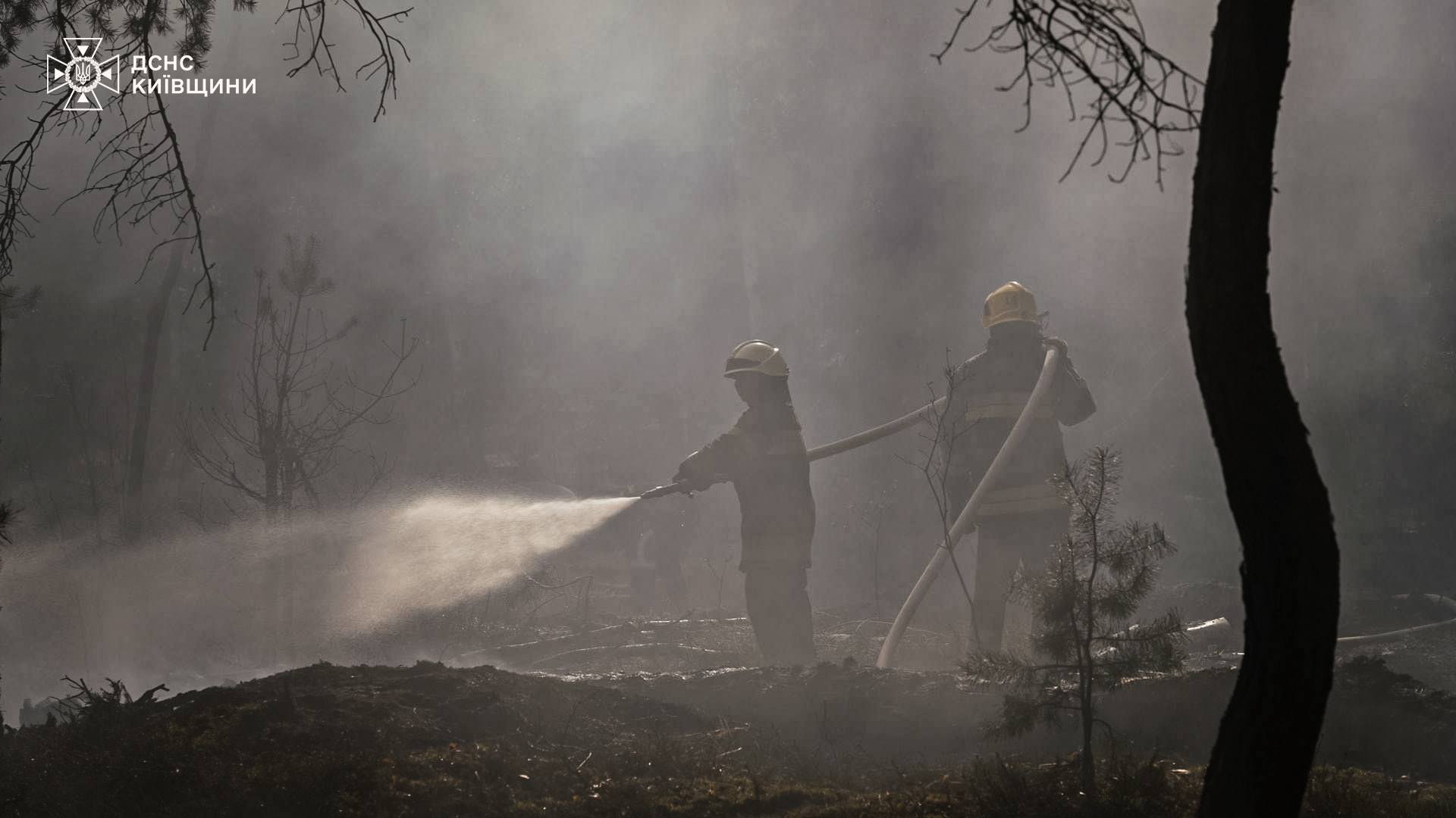 Фото до матеріалу: У Чорнобильській зоні відчуження горить понад 1100 гектарів лісу