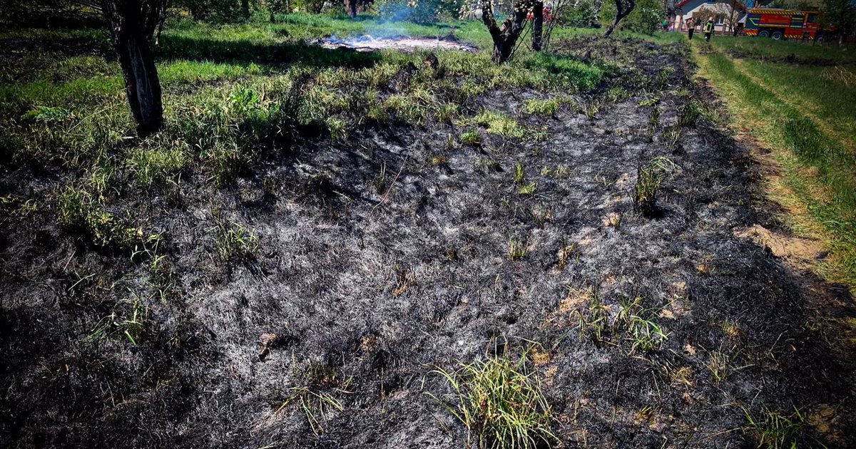 Фото до матеріалу: Жінка отримала опіки під час пожежі сухостою на Львівщині