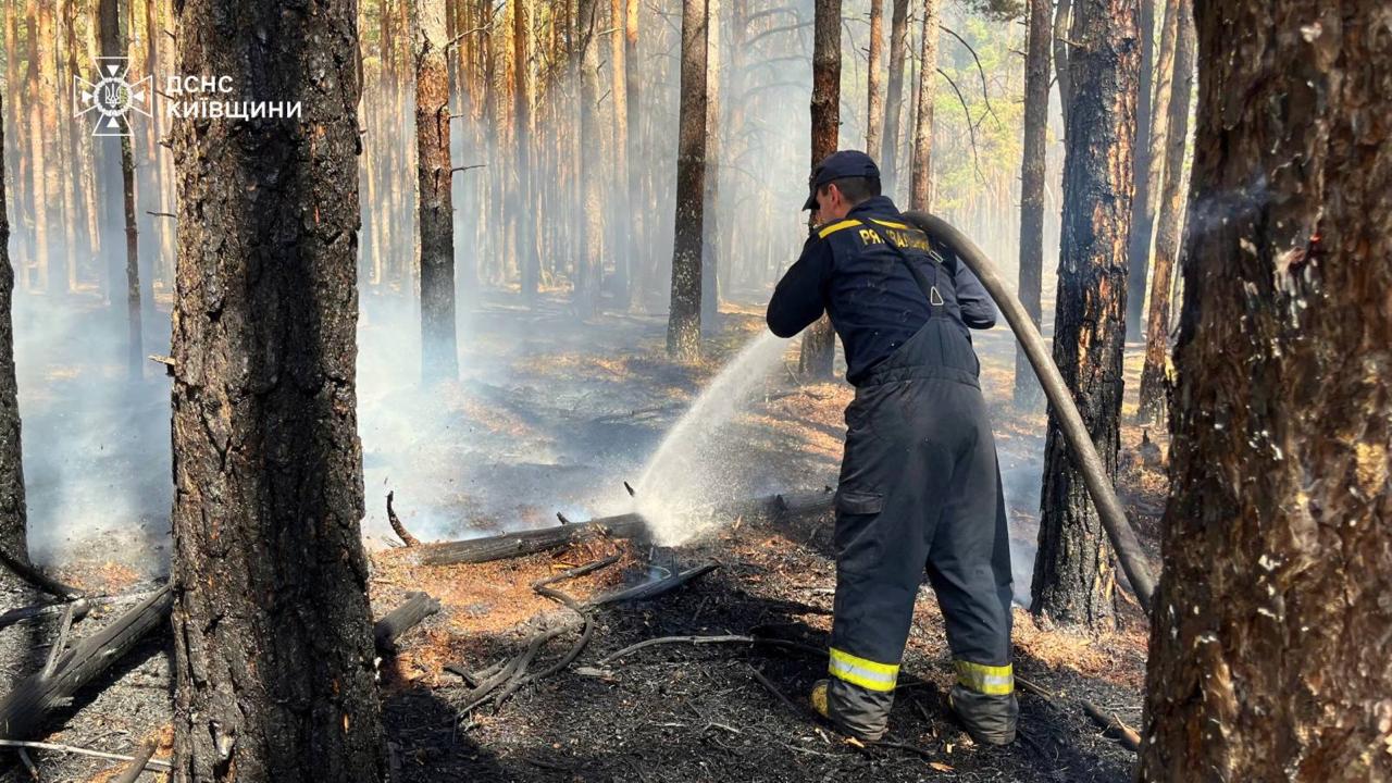 Фото до матеріалу: На Київщині у Зоні відчуження триває масштабна лісова пожежа: вогнем охоплено 1200 гектарів