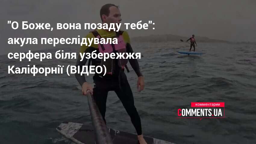 Фото до матеріалу: Акула переслідувала серферів у Каліфорнії: відео інциденту