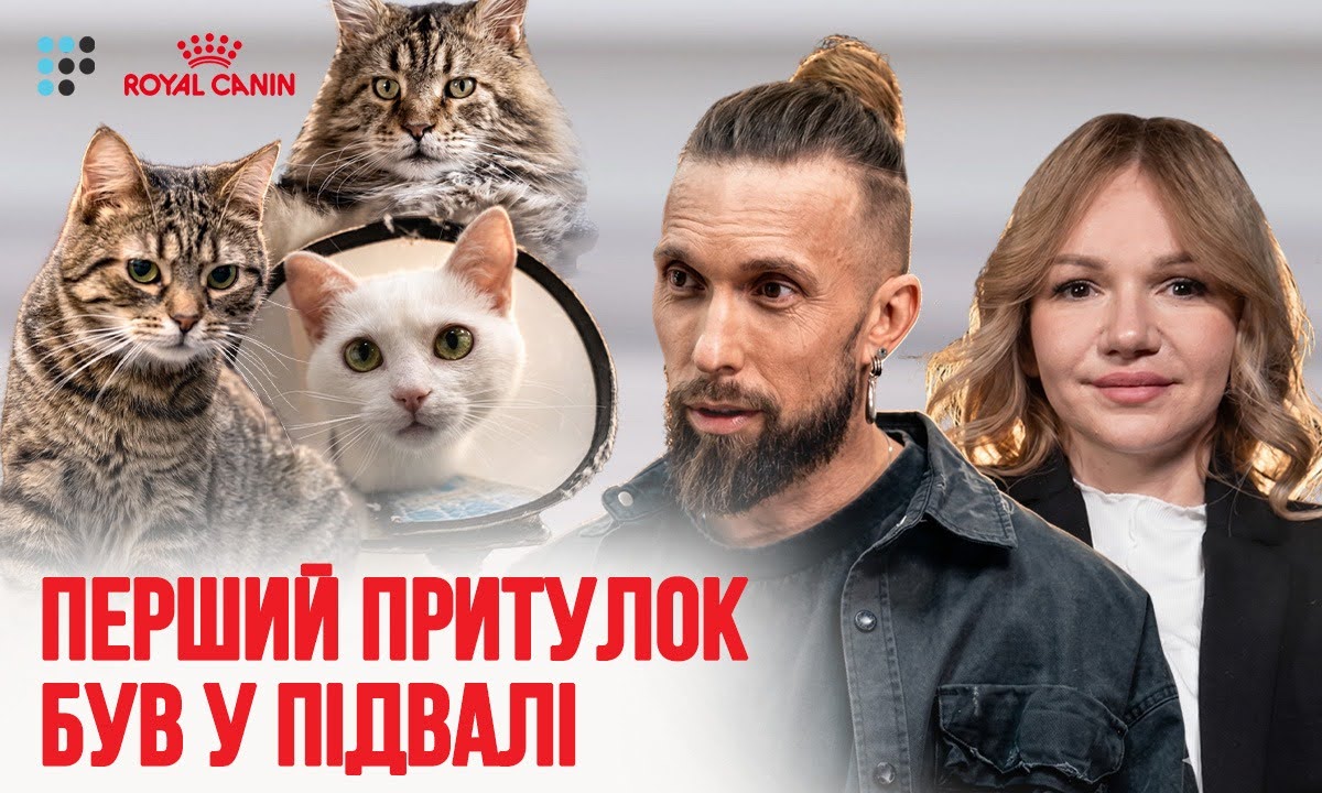 Фото до матеріалу: Як працює котель в Ірпені: евакуація тварин, правильне харчування та майбутній центр реабілітації