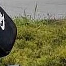Фото до матеріалу: Девіду Аттенборо виповнилося 100 років: як святкують вікового легенду телебачення