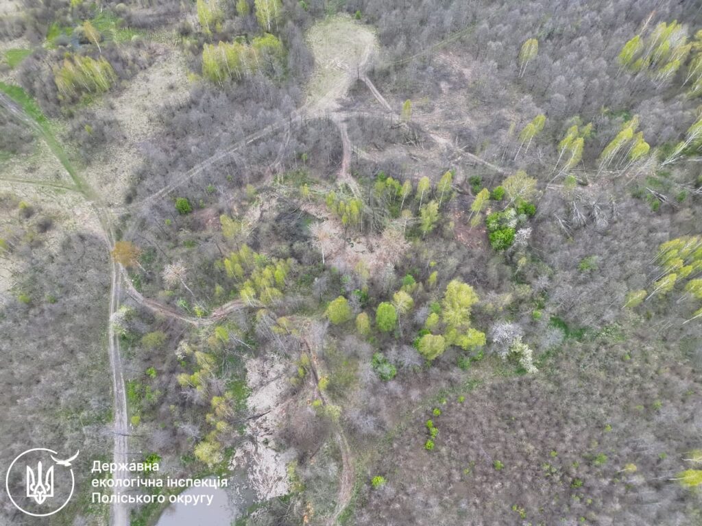 Фото до матеріалу: Сотні дерев зрубано біля Теренців: Хорошівська громада знову ризикує мільйонними збитками