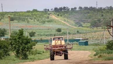 Фото до матеріалу: Агрохолдинг «Епіцентр Агро» планує вирощувати цукровий буряк на Заході України