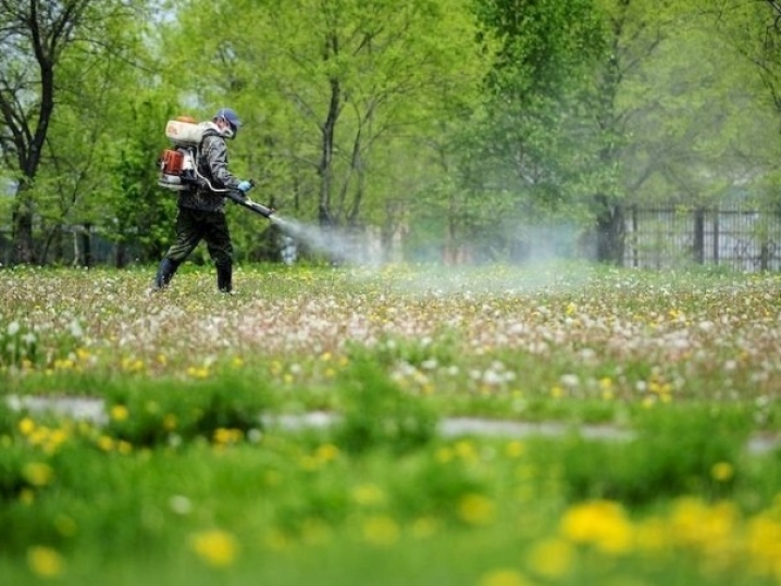 Фото до матеріалу: У Володимирі оброблятимуть парки від кліщів