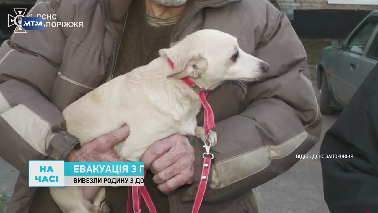 Фото до матеріалу: Родину з собаками евакуювали із Преображенської громади під час атаки дронів