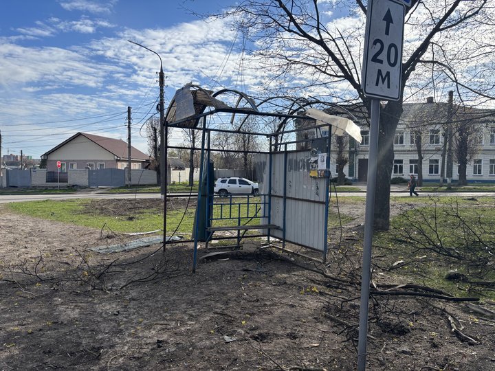 Фото до матеріалу: Дозоване співчуття дельфінам і пташкам