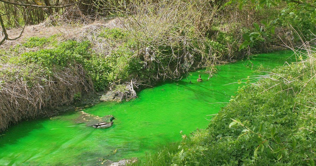 Фото до матеріалу: У Львові в річці Зубри виявили забруднення каналізаційними стоками