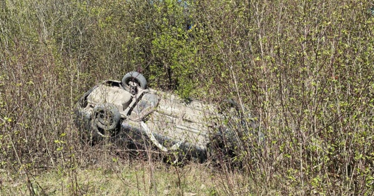 Фото до матеріалу: На Львівщині автомобіль злетів у кювет: пасажира госпіталізували