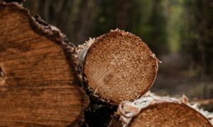 Фото до матеріалу: На Прикарпатті розпочнуться дослідження для видобутку нафти та газу