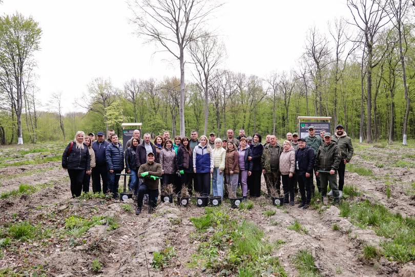 Фото до матеріалу: На Прикарпатті висадили 3000 дерев пам'яті у лісництві біля Отинії