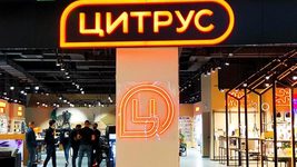 Фото до матеріалу: Цитрус перезбирає топ-команду: нові обличчя та стратегія повернення на вершину ринку