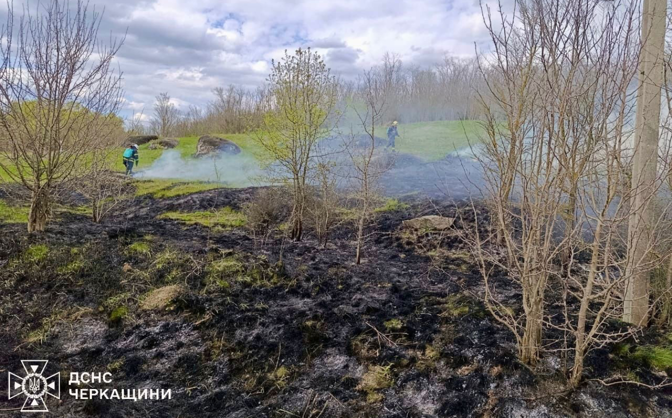 Фото до матеріалу: П'ять пожеж сухої трави за добу на Черкащині: діти та куріння стали причинами