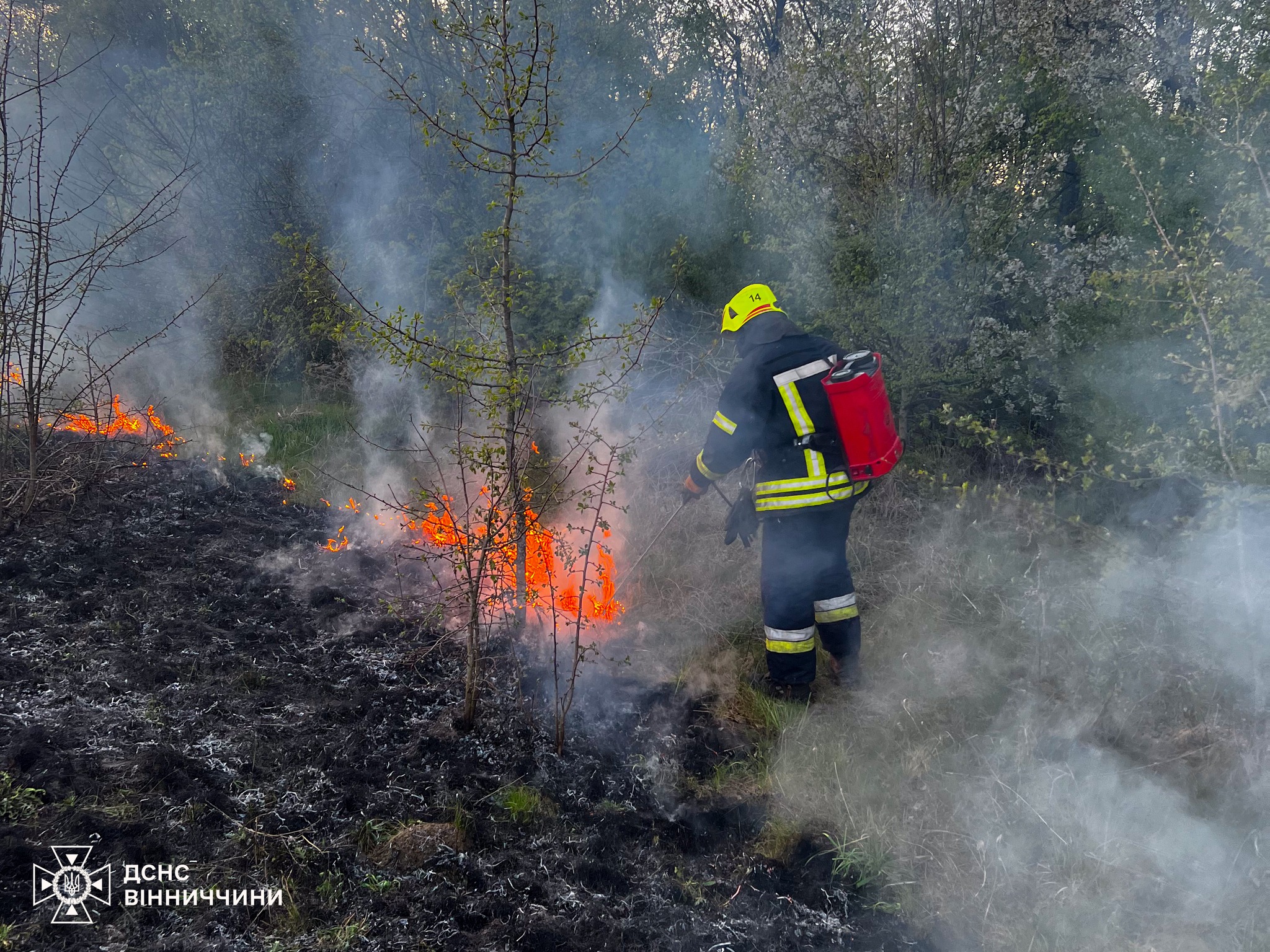 Фото до матеріалу: 12 пожеж за добу на Вінниччині: горіли будинки, господарчі споруди та трава