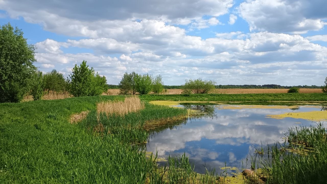 Фото до матеріалу: Погода на Любешівщині 15 травня: очікується хмарна погода без опадів