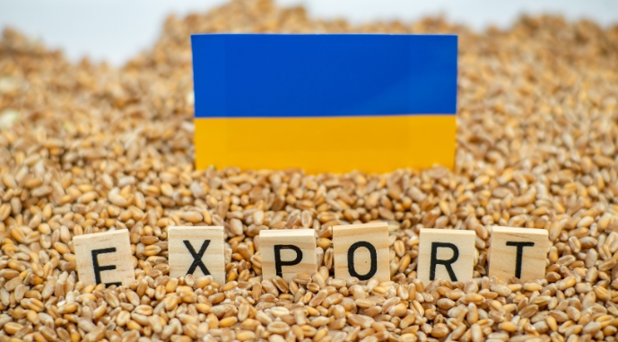 Фото до матеріалу: Ціни на зерно та олійні в Україні падають через очікування миру між США та Іраном
