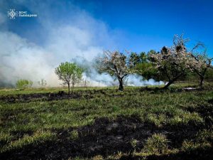 Фото до матеріалу: П'яний водій смертельно збив велосипедиста у Бродах: затримали та вилучили авто