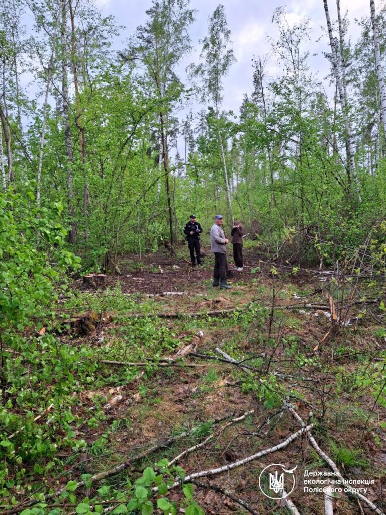 Фото до матеріалу: Дрон виявив трактор із краденими березами на Коростенщині