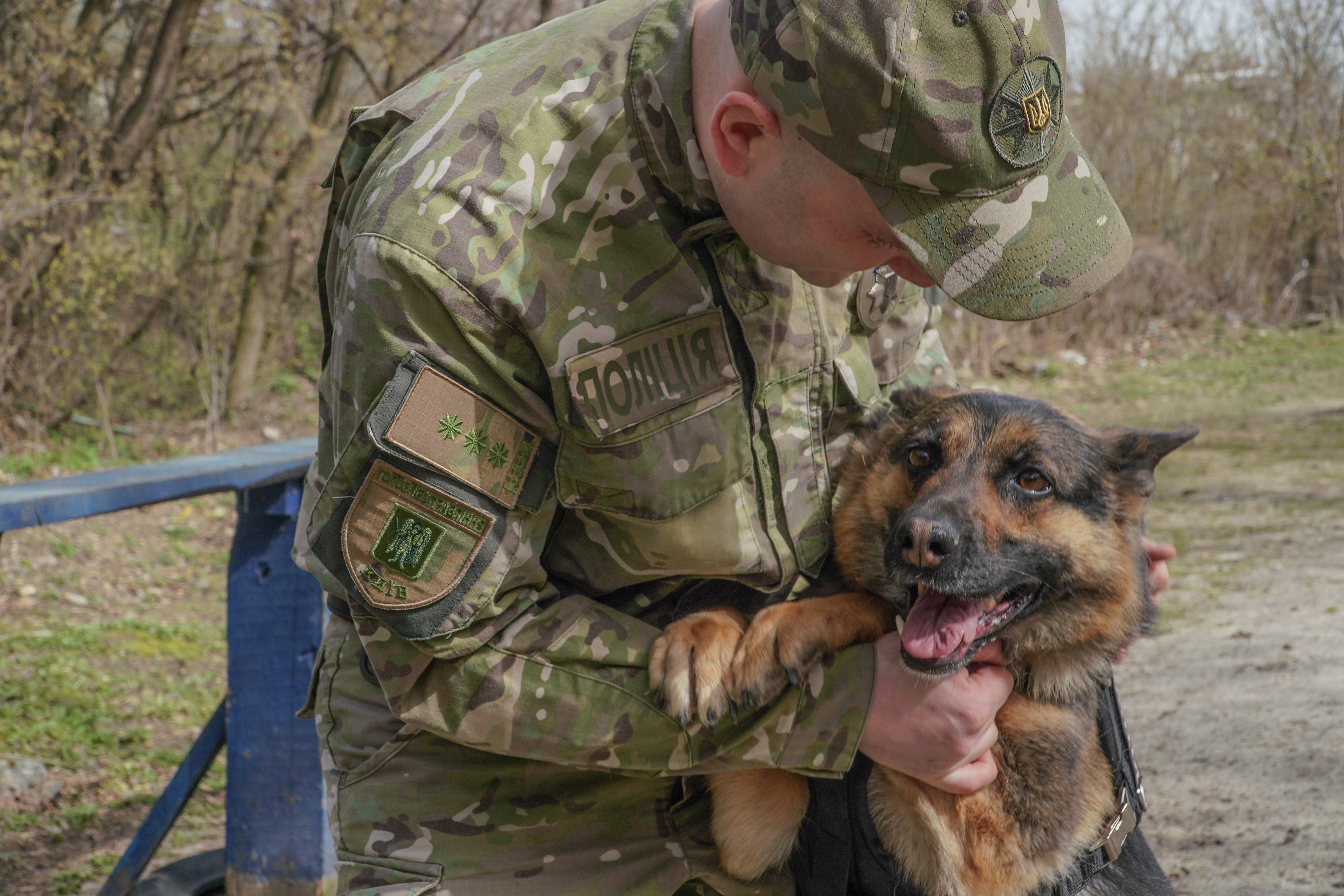 Фото до матеріалу: 30 років кінологічній службі: як дресирують поліцейських собак у Києві та як вони допомагають під час війни